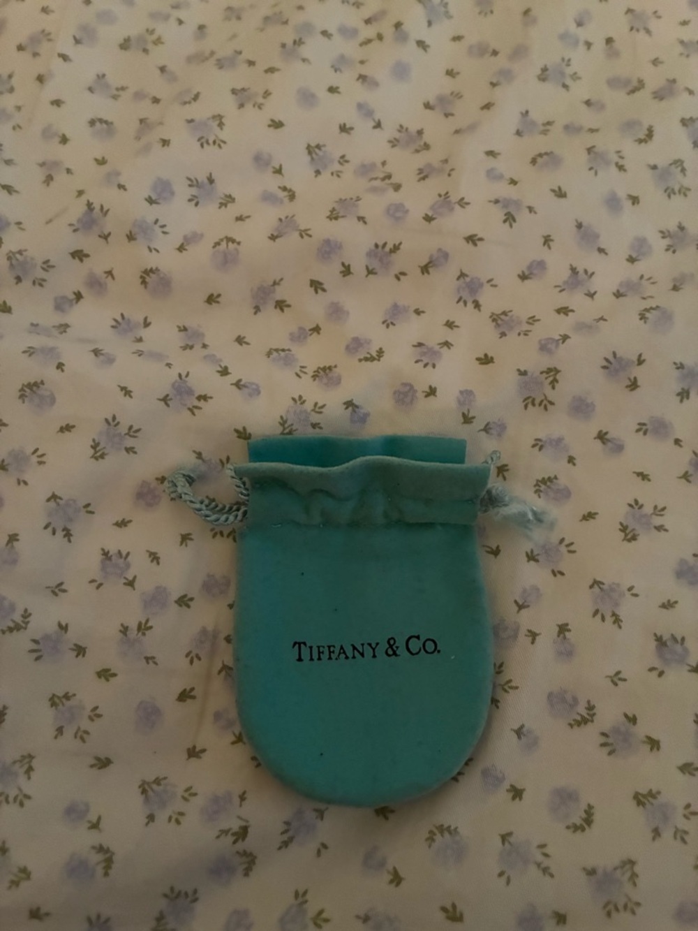 Tiffany & Co. Tiffany Blue Velvet Drawstring Pouch